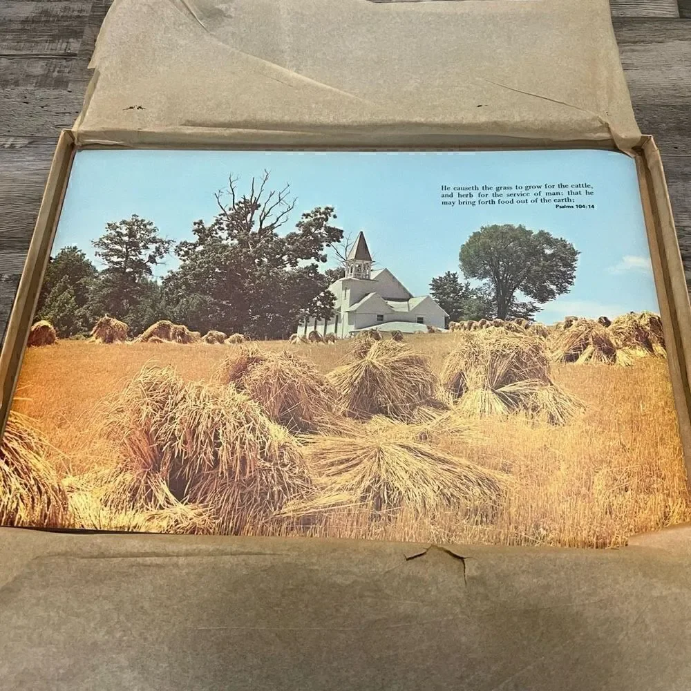 Set of 6 vintage permanent plastic coated inspirational placemats